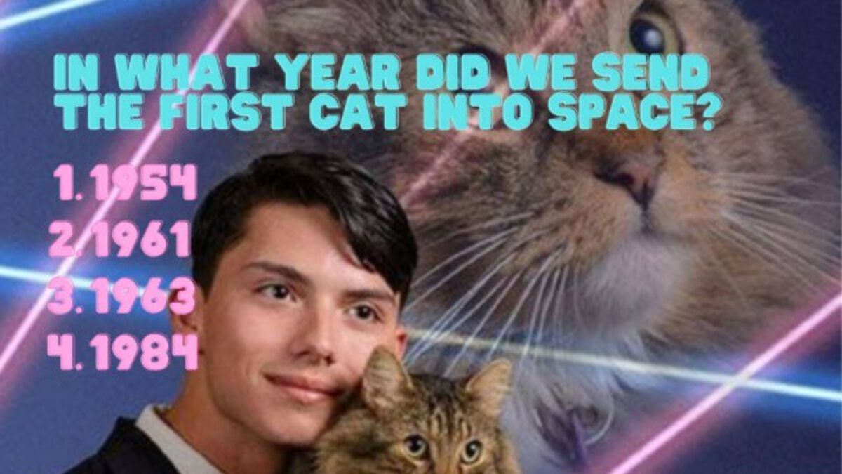 Awkward Cat Trivia image number null